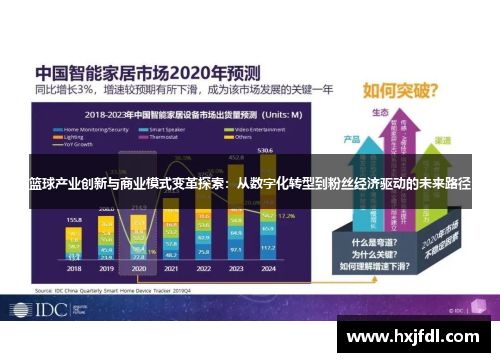 篮球产业创新与商业模式变革探索：从数字化转型到粉丝经济驱动的未来路径